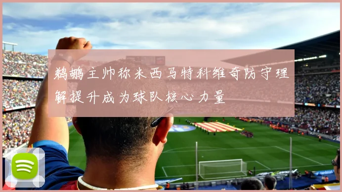 鹈鹕主帅称米西马特科维奇防守理解提升成为球队核心力量