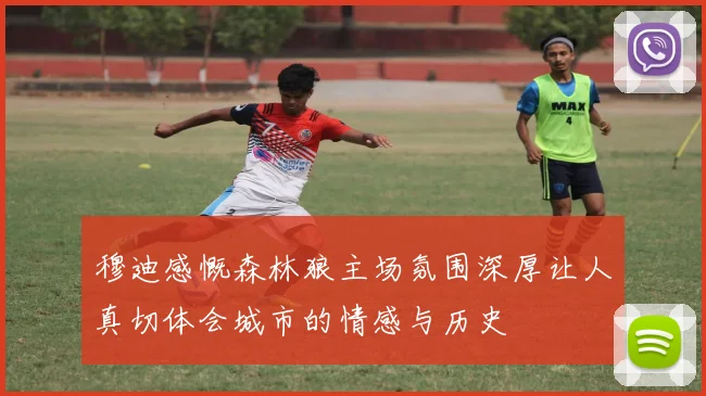 穆迪感慨森林狼主场氛围深厚让人真切体会城市的情感与历史
