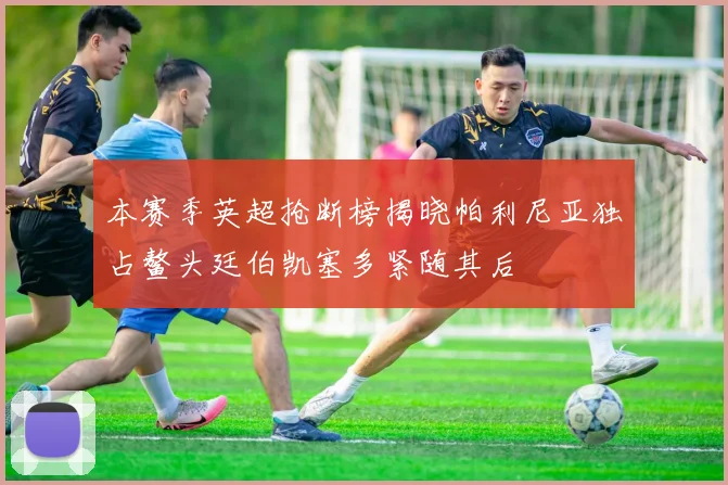本赛季英超抢断榜揭晓帕利尼亚独占鳌头廷伯凯塞多紧随其后