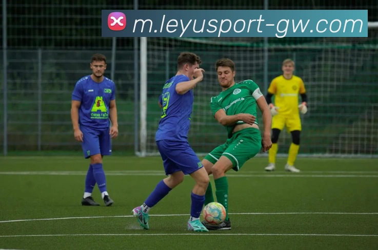 乐鱼体育APP 高清赛事图